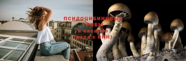 стафф Армянск