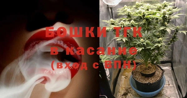 стафф Арсеньев