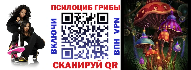 Псилоцибиновые грибы прущие грибы  Комсомольск 
